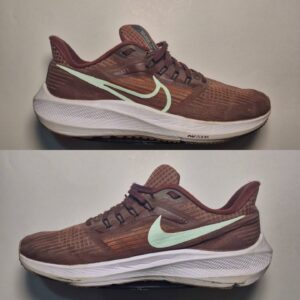 nike pegasus39